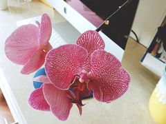 -精德口腔·种植修复·儿牙中心(财富中心店)