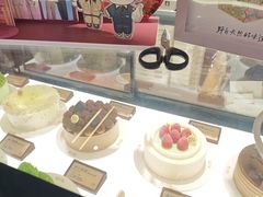 -野人先生Gelato(上海长宁龙之梦店)