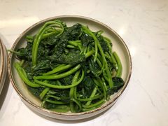 时令蔬菜-鹿港小镇(滨北店)