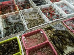 水产区-霞涌市场海鲜摆卖区