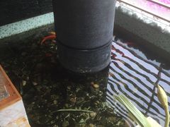 -仙林宾馆-餐厅