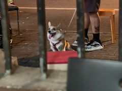 -川香煲(茅台路店)