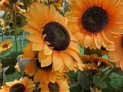 -夏霖九天银瀑风景区