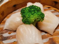 -若爱猪肚鸡·啫啫煲(循礼门M+店)