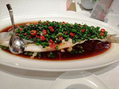 -醉辉皇上海之巅(上海中心大厦店)