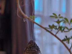 -竟陵水茶苑(首享科技大厦店)