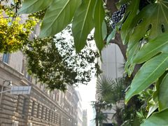 -J Create城市露营咖啡·简餐·宠物(上海动物园店)