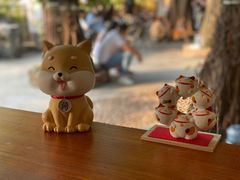 -柴犬高等学院·狗咖·柴犬售卖·宠物训练