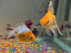 -秦皇岛新澳海底世界