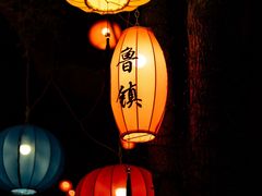 -鲁镇