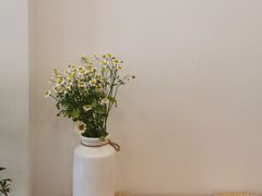-团子君寿司·茶