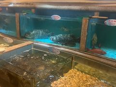 -快乐海鲜酒楼(滇池路店)