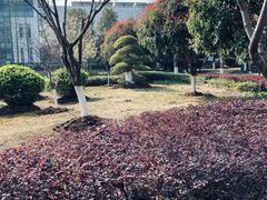 景点-金银湖国家城市湿地公园