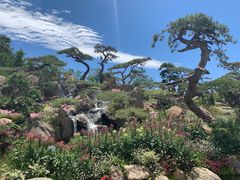 -罗红摄影艺术馆