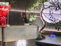 -大拙里·精致融合菜(沙湖桃源国际店)