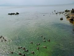 -深圳湾公园(南山区)