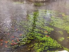 -水磨沟公园