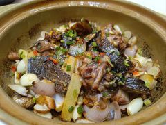 甲鱼煲-金满楼(天河中路店)