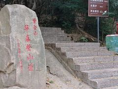 -紫金山山顶公园