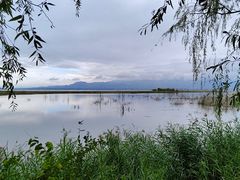 -野鸭湖国家湿地公园
