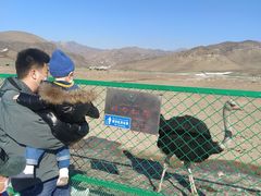 -新疆天山野生动物园