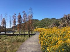 -广州市石门国家森林公园