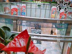 -鹏欣水游城