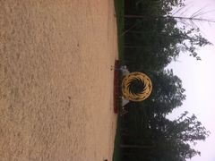 金沙遗址博物馆-金沙遗址博物馆
