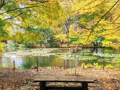 -北海道厅旧本厅舍(旧本庁舎)