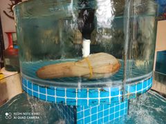 -东湖食堂·湖景餐厅•会议