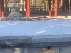 -四门塔风景区