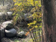 -宝界山林公园