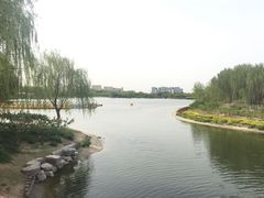 -大兴滨河森林公园