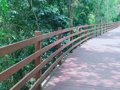 -野象谷景区