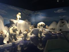 -成都泰迪熊博物馆