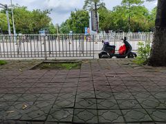 -广东花都湖国家湿地公园