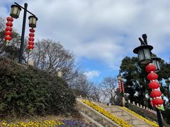 -苏州上方山国家森林公园