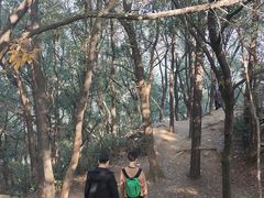 -灵岩山风景区