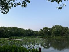 -西溪国家湿地公园