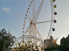 -锦江乐园舞狸花花游园会(夜场专享)