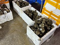 -濠轩阁特色生蚝火锅总店