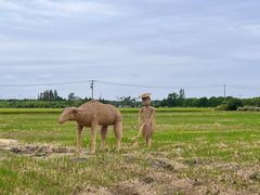 -嘉北郊野公园