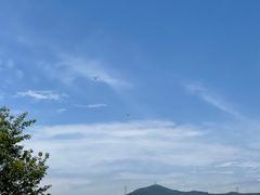 -长兴太湖图影湿地文化园