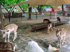 -西安秦岭野生动物园