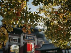 -龙华寺