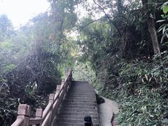 -崀山风景名胜区