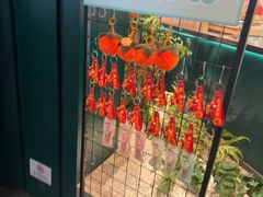 -梨花自助烤肉(西三旗万象汇黑金店)