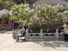 -潭柘寺景区
