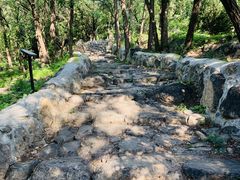 -阳台山自然风景区