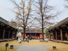 -房湖公园